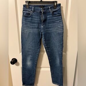Ann Taylor Dark Blue Skinny Jeans